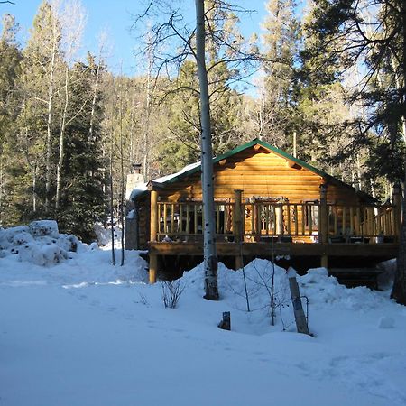 Cabin By The Creek With High Speed Wifi Red River Exterior foto