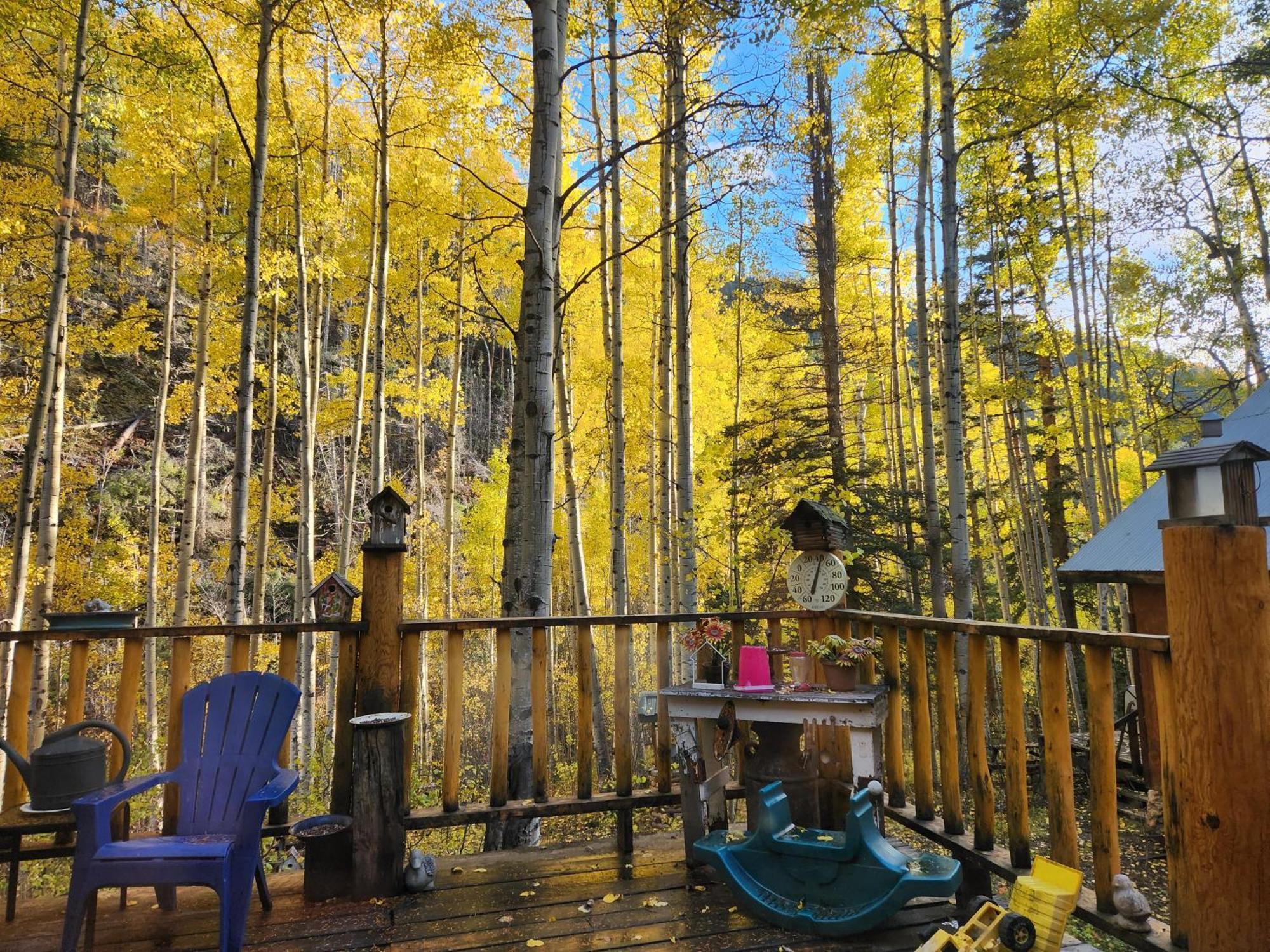 Cabin By The Creek With High Speed Wifi Red River Exterior foto