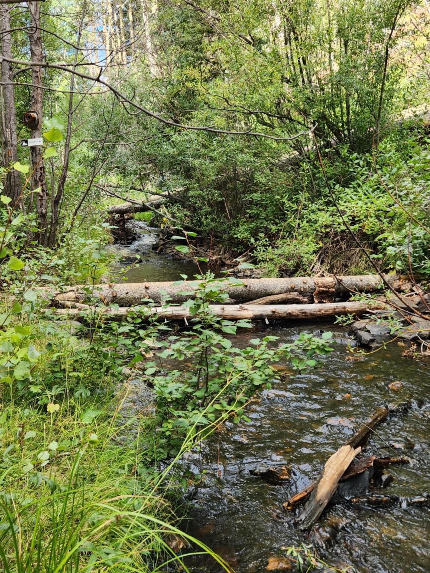 Cabin By The Creek With High Speed Wifi Red River Exterior foto